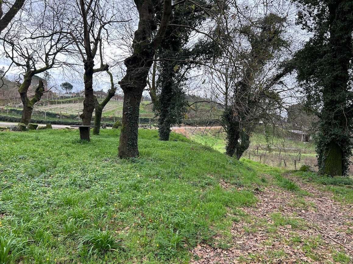 Terreno e Monte Santa Eufémia Prazins