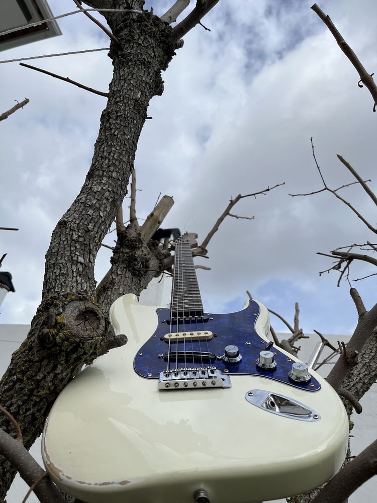 Partcaster stratocaster