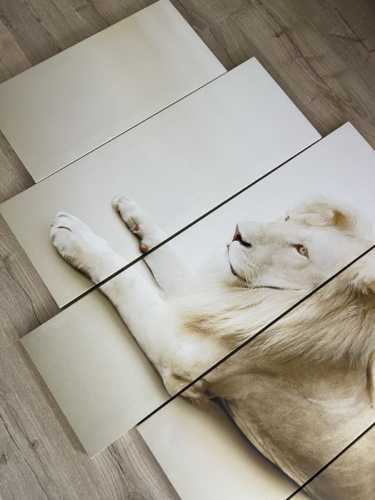 Obraz na ścianę w częściach 100 x 155 cm