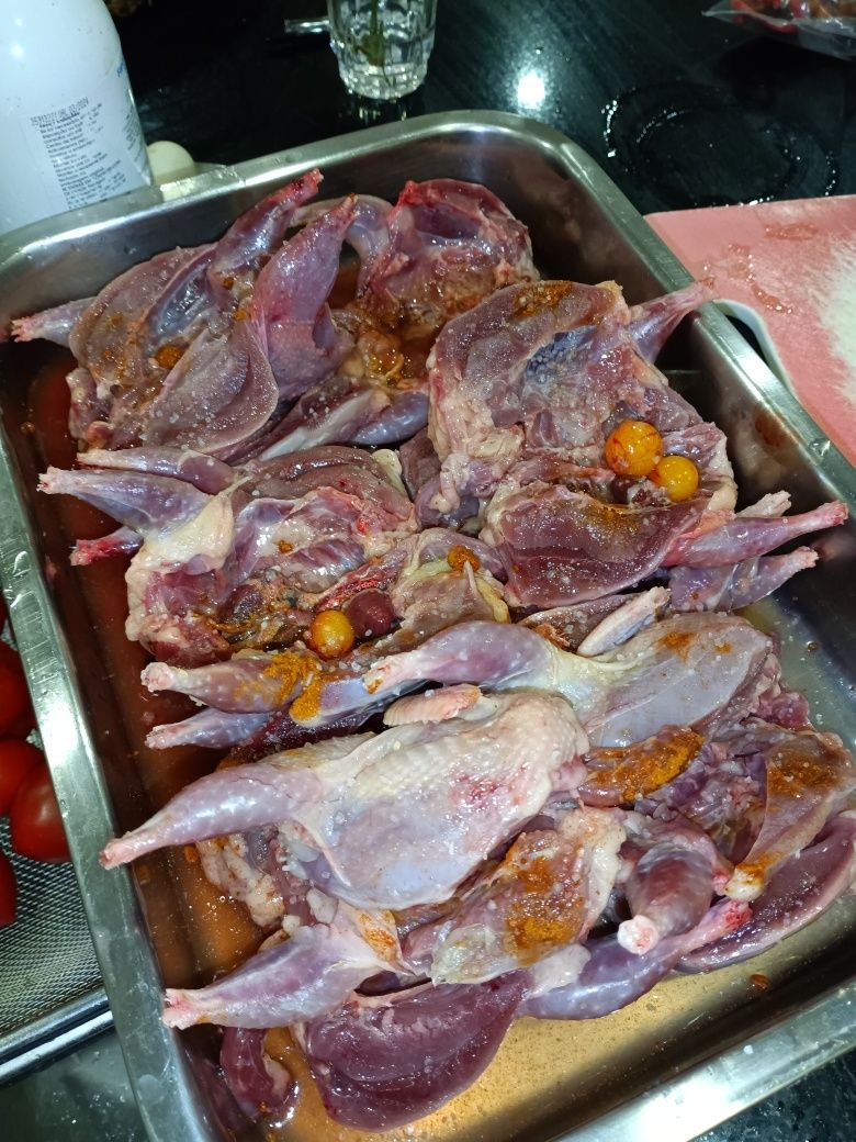 Codorniz  e ovos