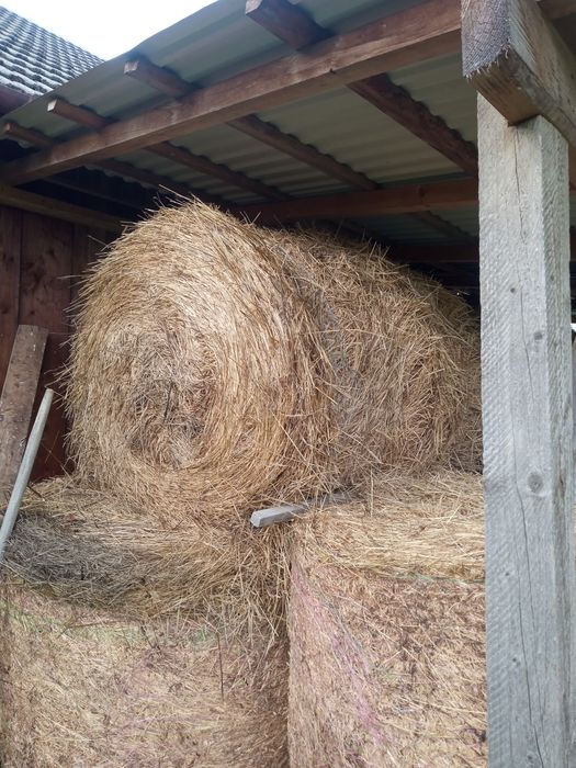 Sprzedam bale ze siana