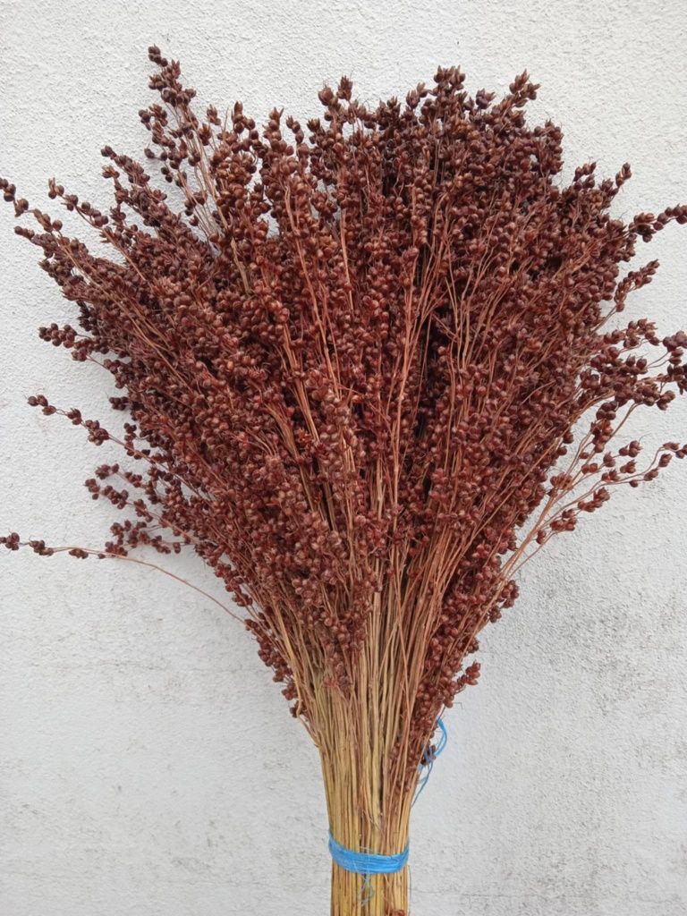 Vendo flores naturais para fazer arranjos