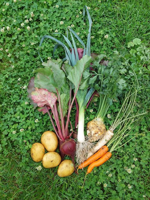 Box warzyw od rolnika