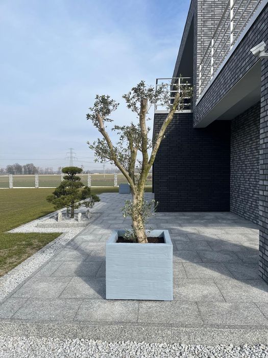 Donice ogrodowe Imitacja drewna i Betonu