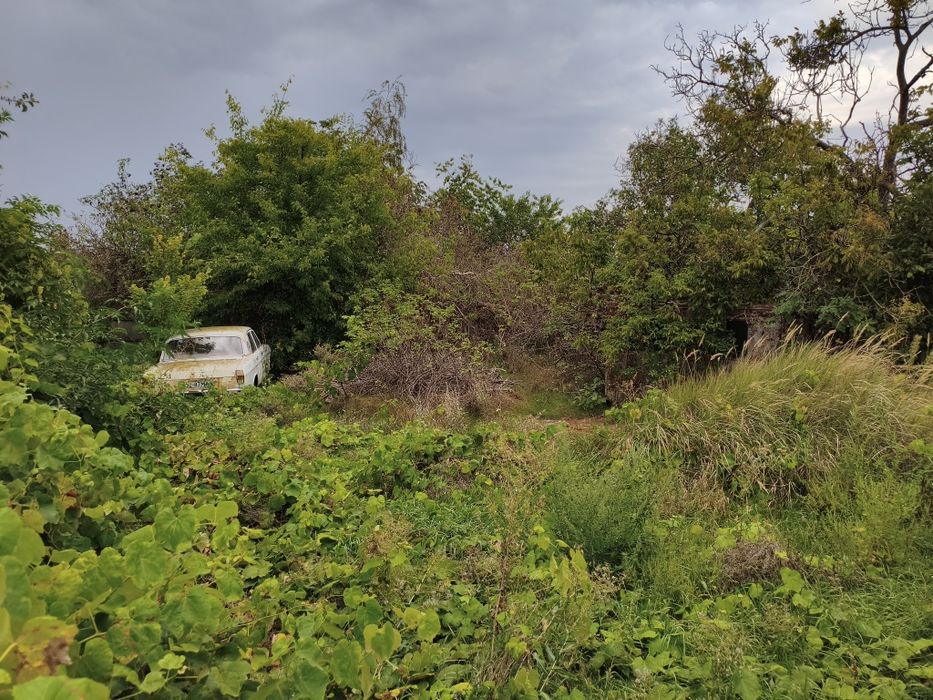 Ділянка під забудову на центральній вулиці села Сагунівка