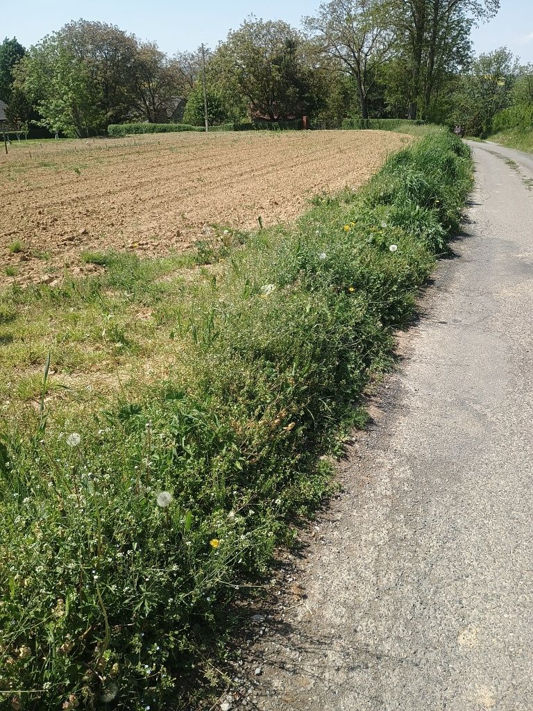 Działka zagrodowa Łopuszka Mała