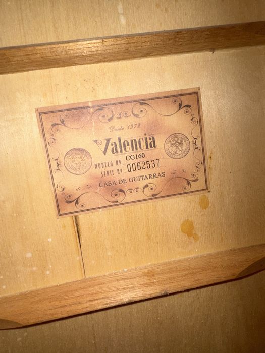 Viola + Capa de transperte