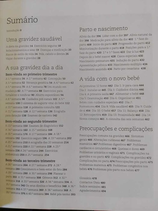 A Sua Gravidez Dia a Dia