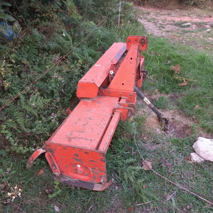 Frese Galucho descentrada