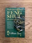 Wędrująca gwiazda feng shui - Lillian Too