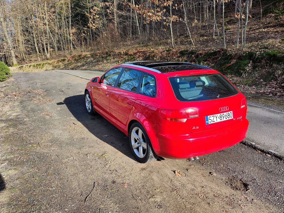 Audi A3 QUATTRO 2.O TDI 140KM 2006 Panorama