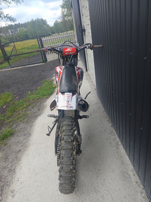 Apollo Lizard RFZ 300