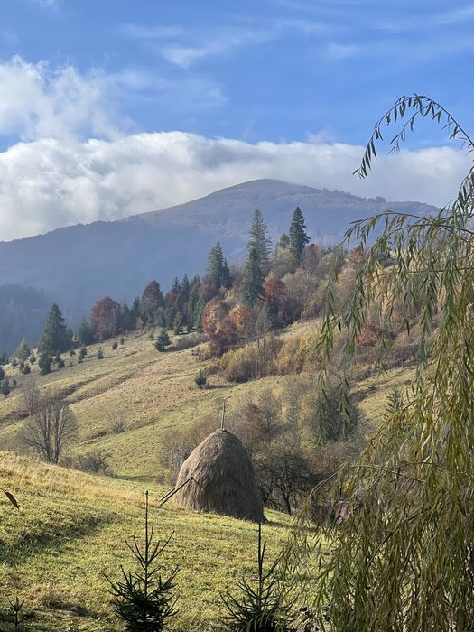 Котедж у горах для відпочинку — тиша, гори, релакс