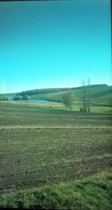 Хата у селі Смолява