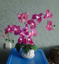Орхидея в горшке декоративная