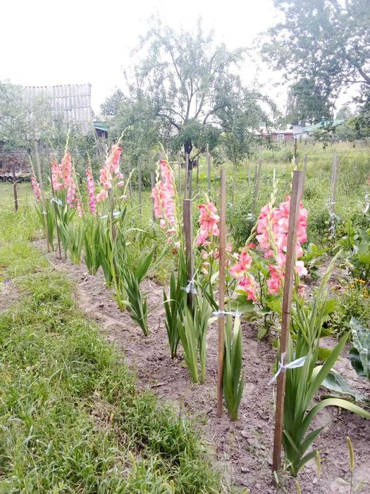 Продаж житлового будинку