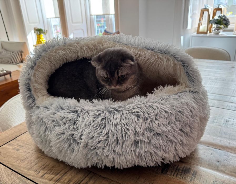 Cama para gatos branca e cinzenta