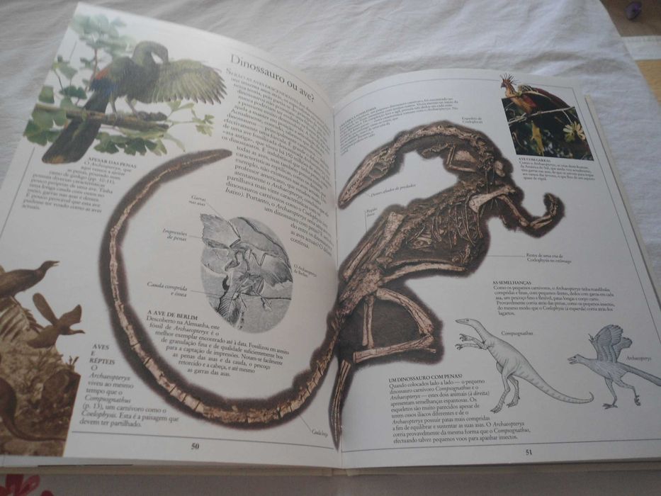 Enciclopédia Virtual Verbo nº 9 -Os Dinossauros