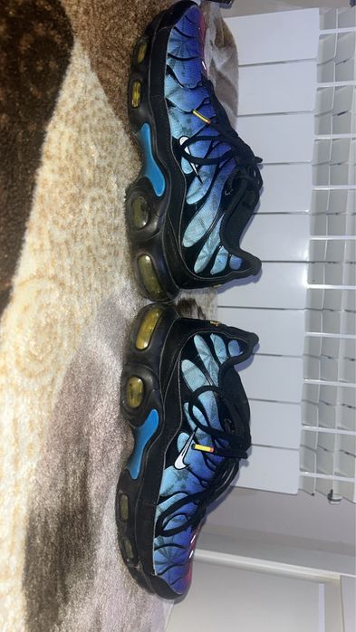 Nike air max plus tn czerwono-niebieskie