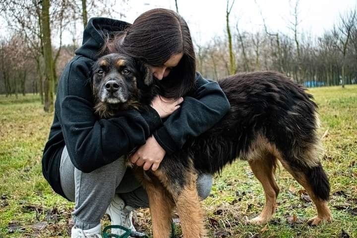 Został porzucony i zdany samemu sobie... Jest wspaniałym psem!