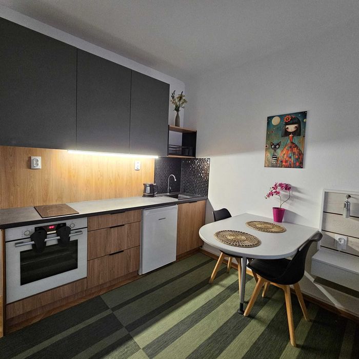 Mieszkanie typu STUDIO w CENTRUM na doby Śródmieście Plac Mirowski