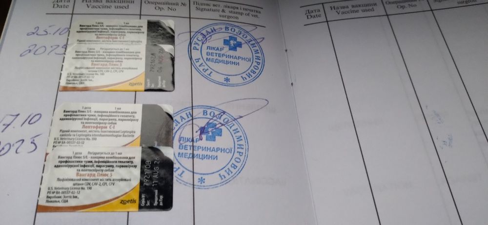 Чистокровные щенки Ротвейлеры.