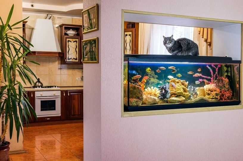 Виготовимо акваріум по ваших розмірах