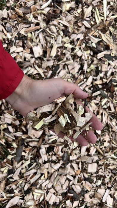 Щепоріз. Послуги подрібнення гілок