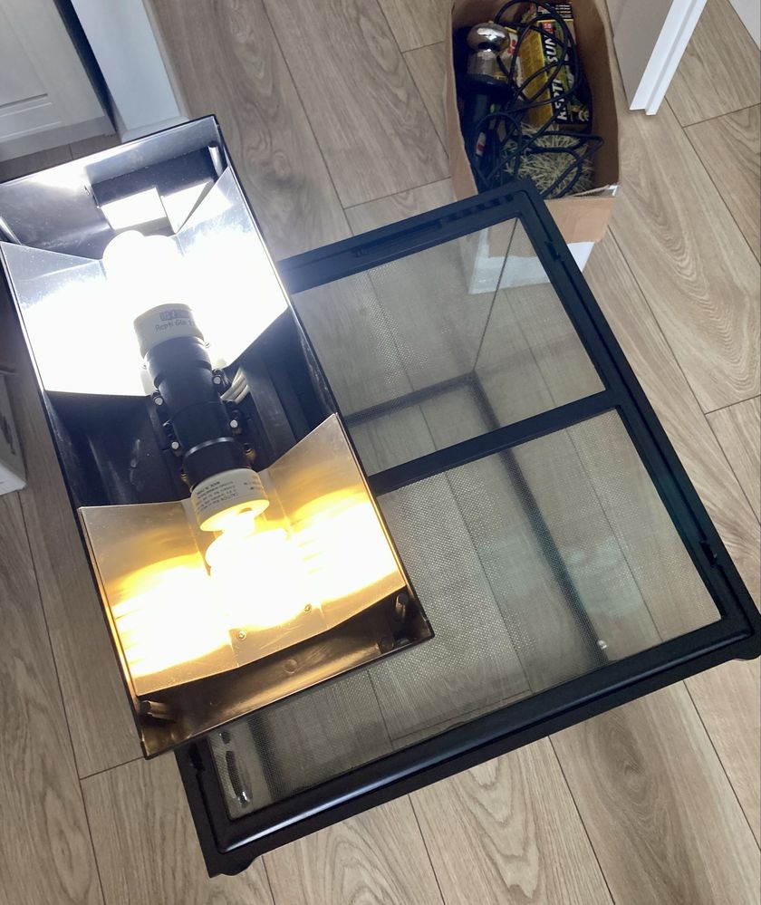Terrarium EXO TERRA HABITAT KIT 45x45x45 + akcesoria, lampy: b. dobry