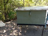 Продам вулик з cім'єю бджіл