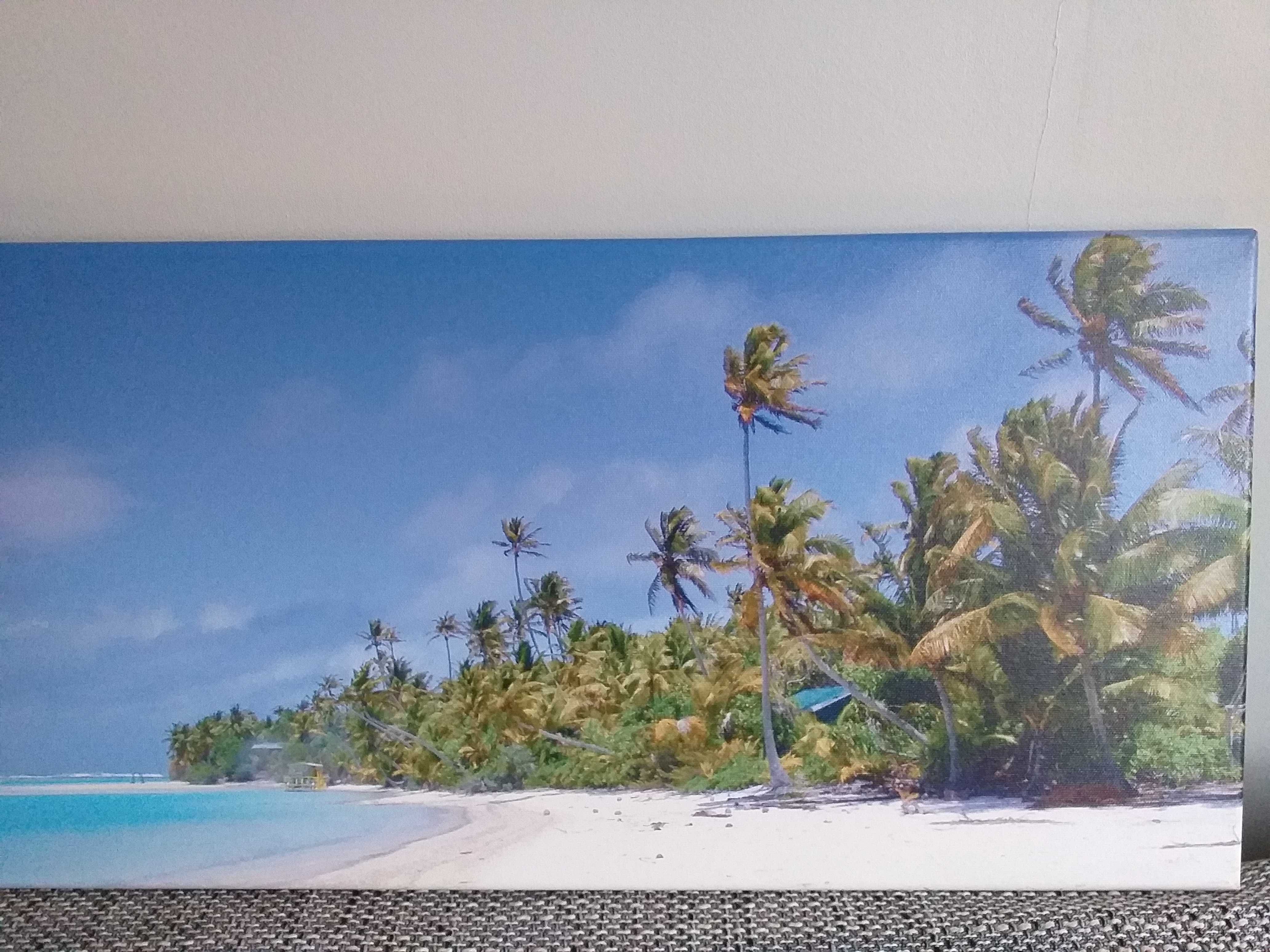 obraz na ścianę - panorama wybrzeża