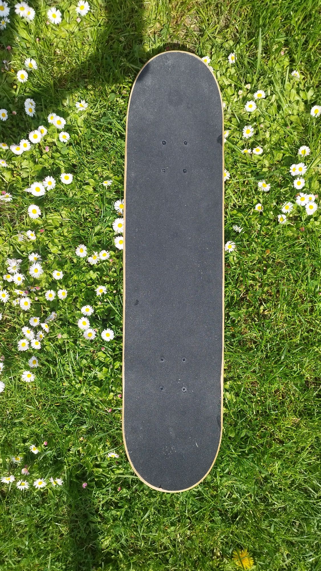 Deskorolka Skate Board