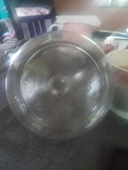 Antyczna muchołapka 19 wieku