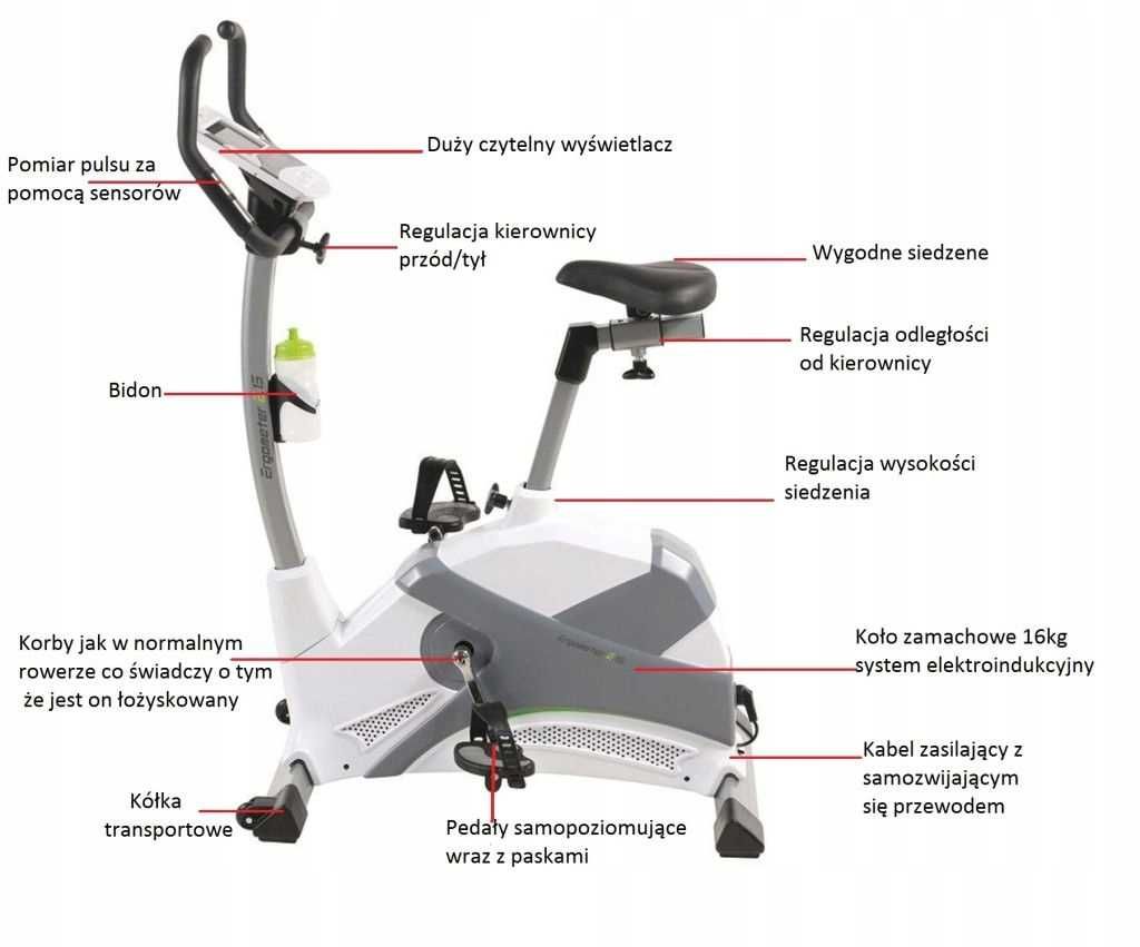 Rower treningowy Elektromagnetyczny firmy Royalbeach Ergometer E13