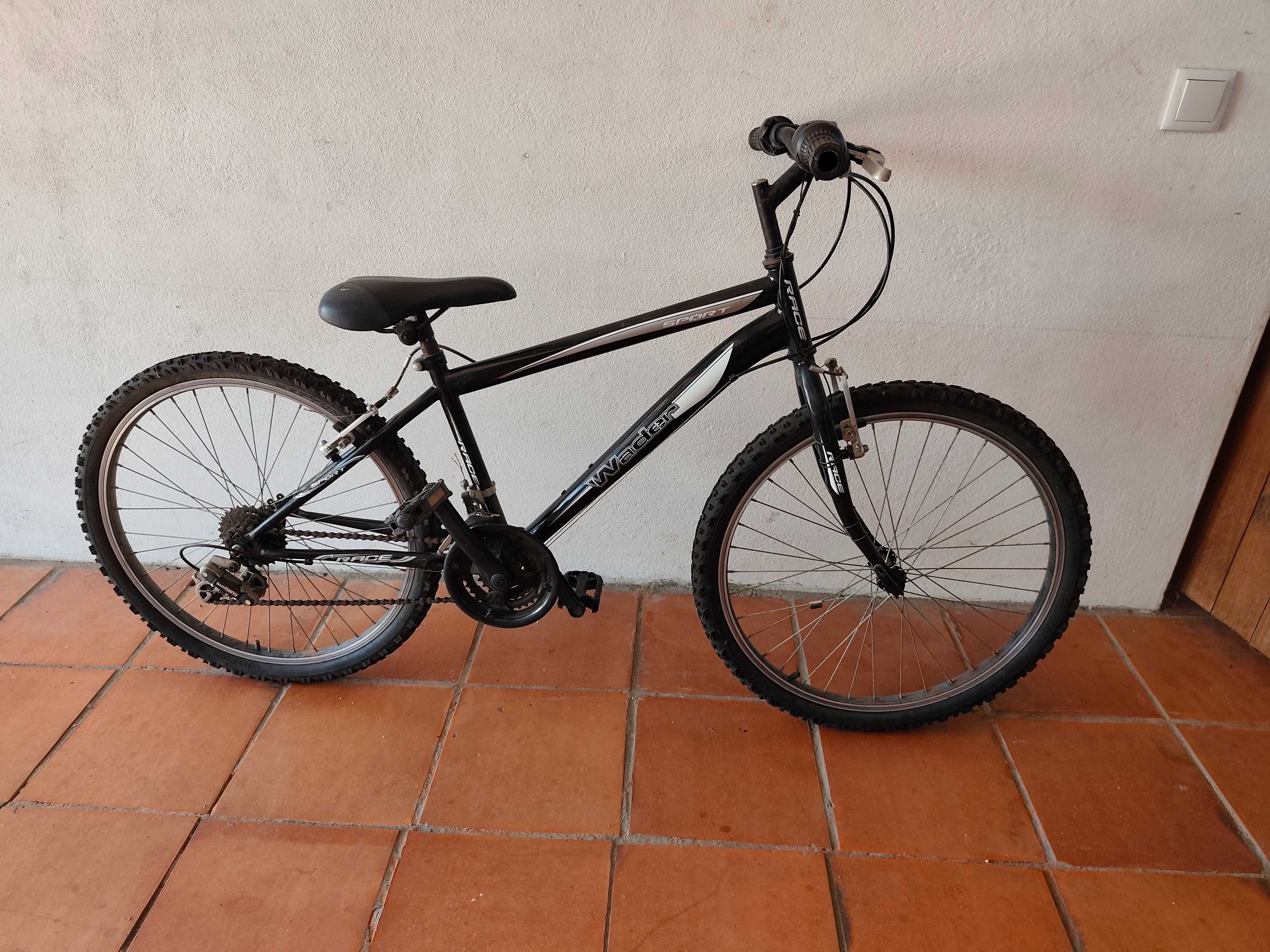 Bicicleta montanha