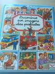 Livros  Dicionário por imagens de Émilie Beaumont- 2 livros diferentes