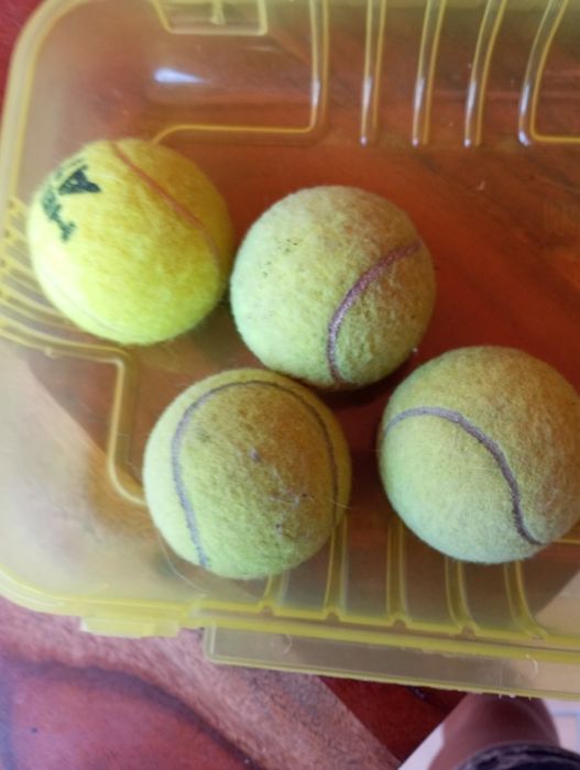 Bolas de ténis usadas