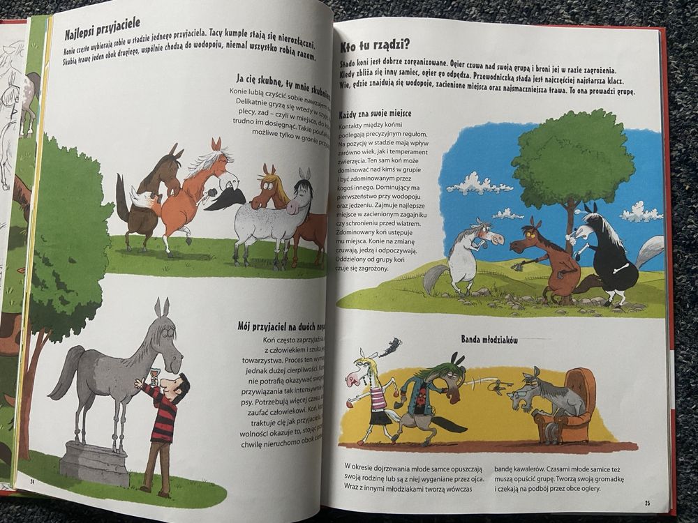 Wszystko o koniach…