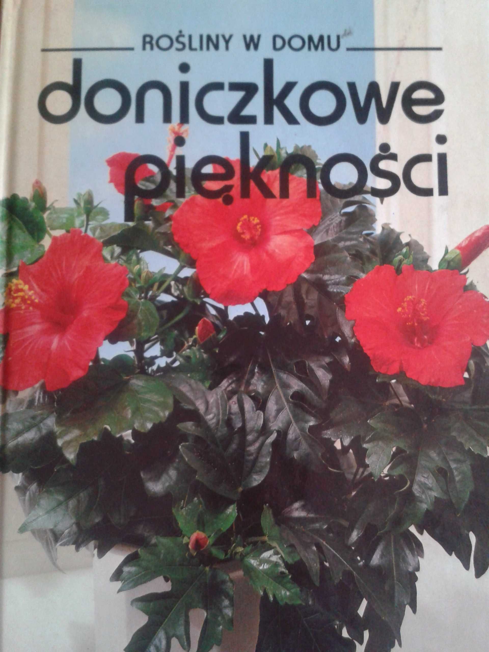 DONICZKOWE PIĘKNOŚCI album poradnik jak dbać o kwiaty doniczkowe