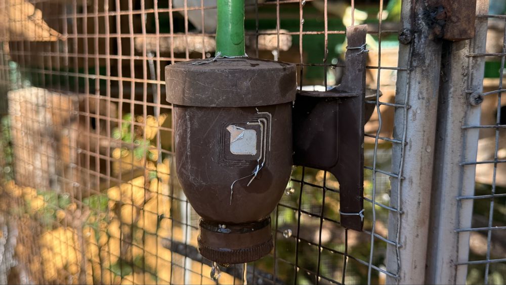 Agarponis Roseicollis(20)+ Periquitos (10)