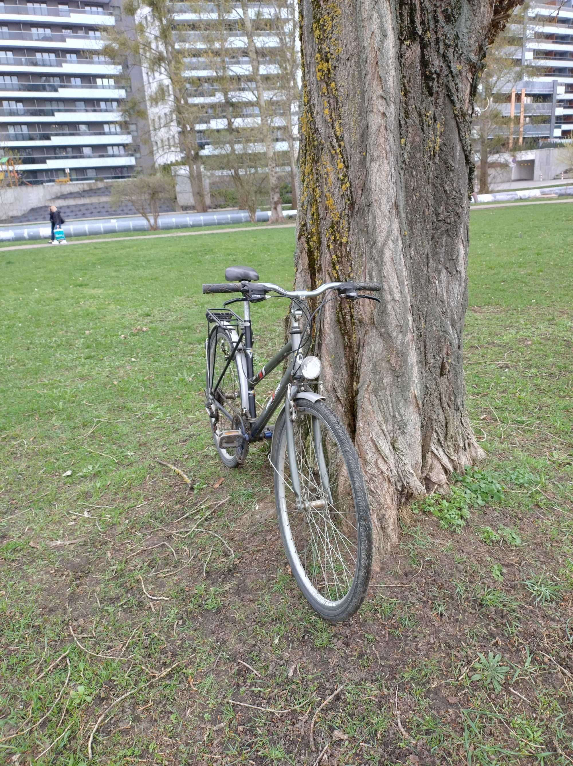 rower miejski Maxim jest po serwisie