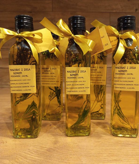 Macerat z ziela Konopi 250ml.