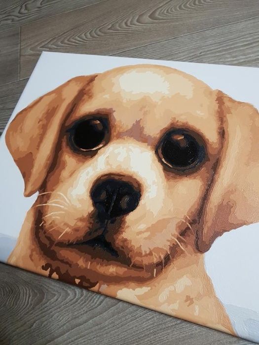 Картина интерьерная "лабрадор" собака