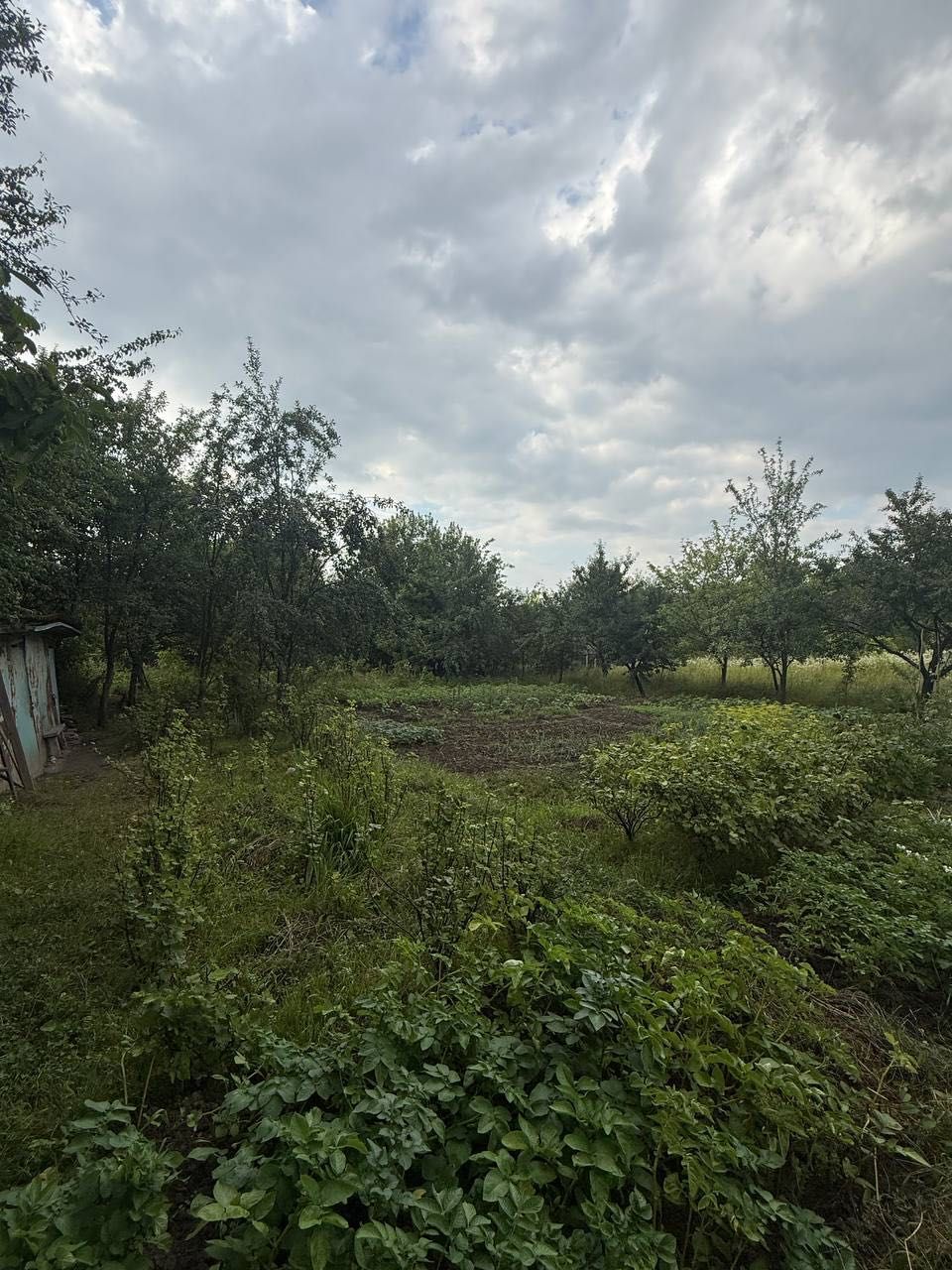 Продаж земельної ділянки в с. Павлівка