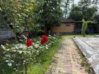 Продаж ділянки 15 соток. В оточенні лісу. Газ. Світло. Вода. ID:736