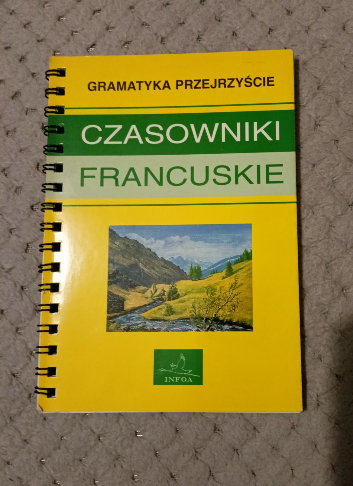 Czasowniki francuskie - gramatyka przejrzyście