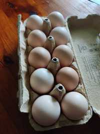 Jajka wiejskie 1,30zl sztuka
