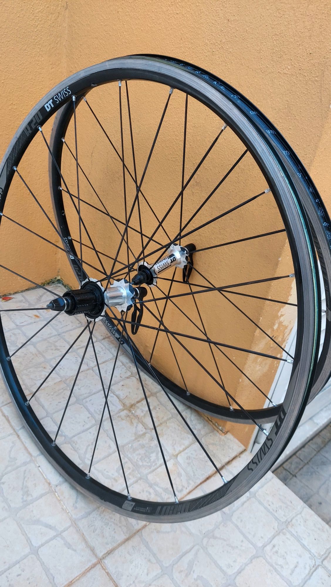 Rodas Dtswiss Dicut topo gama