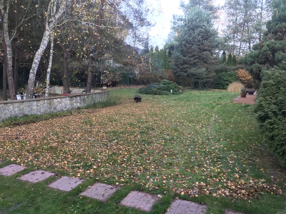 Usługi ogrodnicze/ Ogrodnik/ Pielęgnacja ogrodów