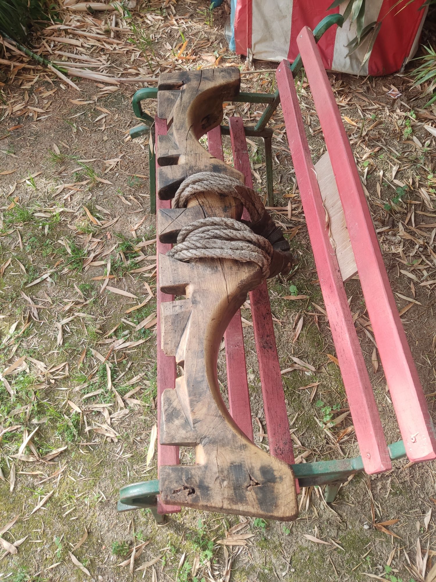 ..Canga de bois..